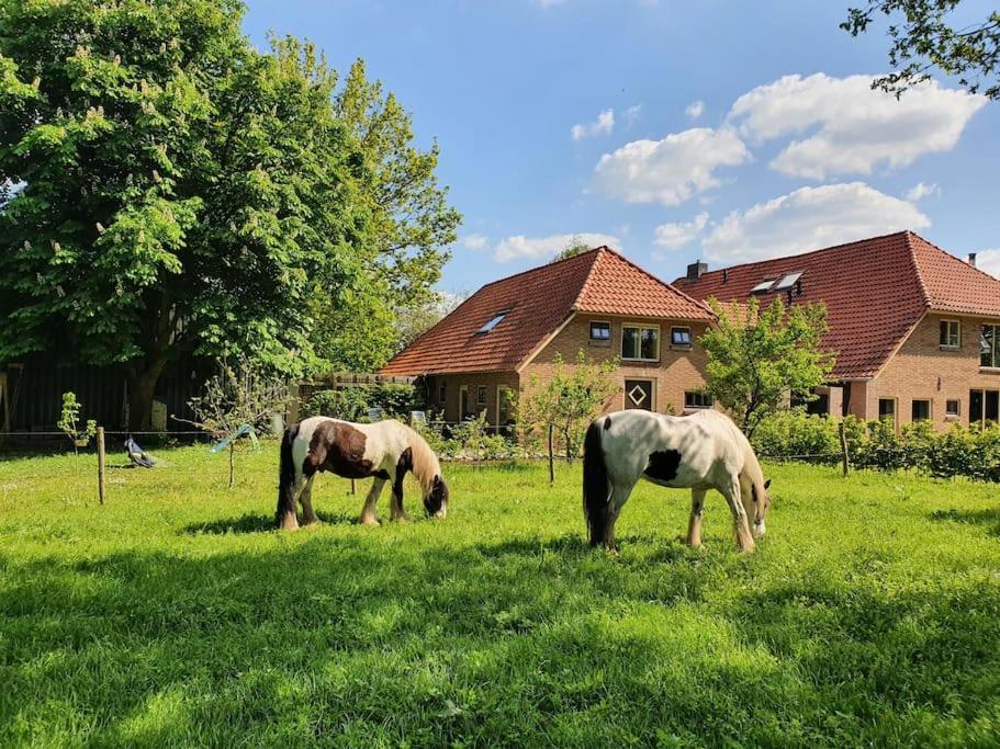 Leuk Boerderijtje Op Prachtige Plek, Nabij Natuurgebied ルールロー エクステリア 写真