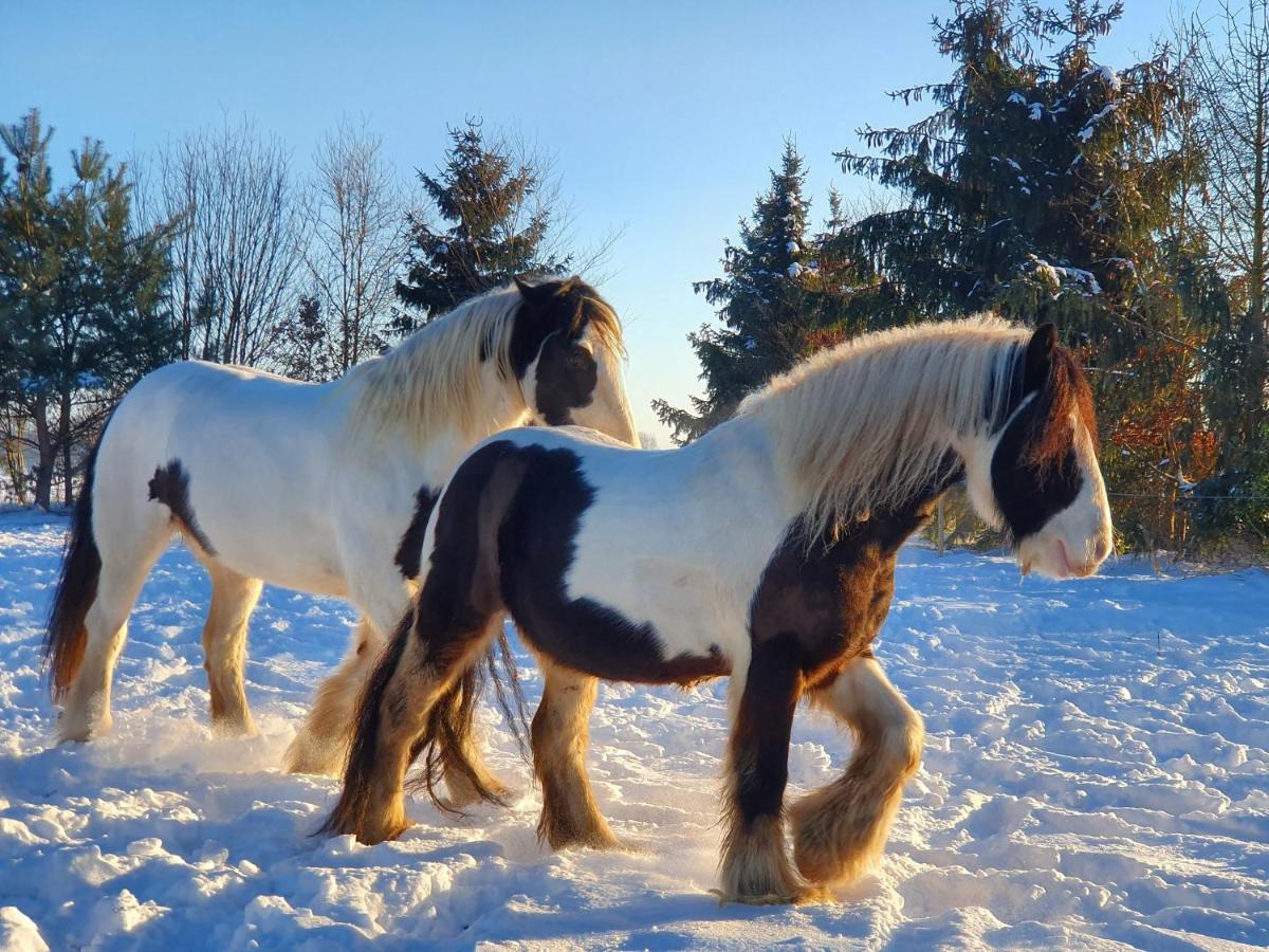 Leuk Boerderijtje Op Prachtige Plek, Nabij Natuurgebied ルールロー エクステリア 写真