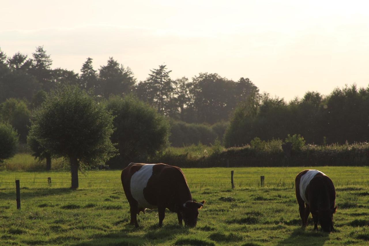 Leuk Boerderijtje Op Prachtige Plek, Nabij Natuurgebied ルールロー エクステリア 写真